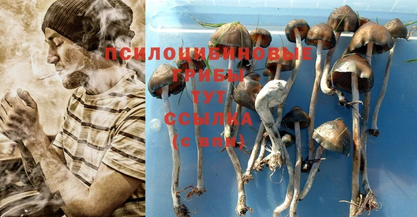 Альфа ПВП Волоколамск