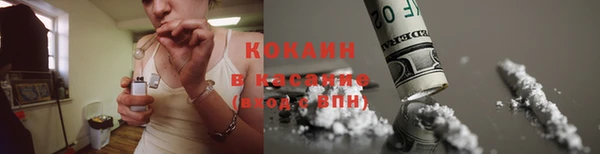 2c-b Бородино