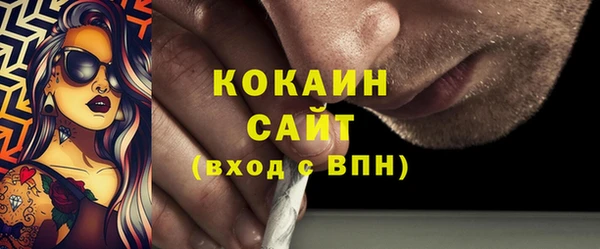 2c-b Бородино