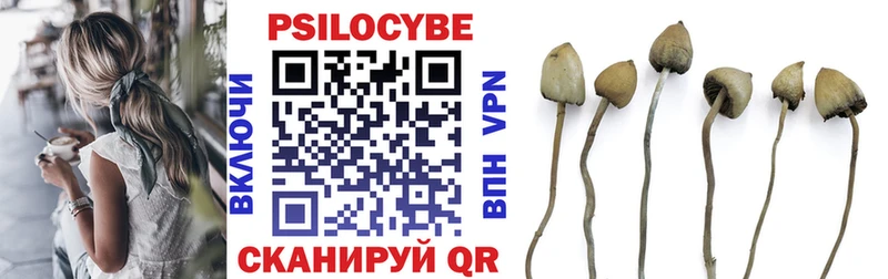 Псилоцибиновые грибы GOLDEN TEACHER  Новоржев 